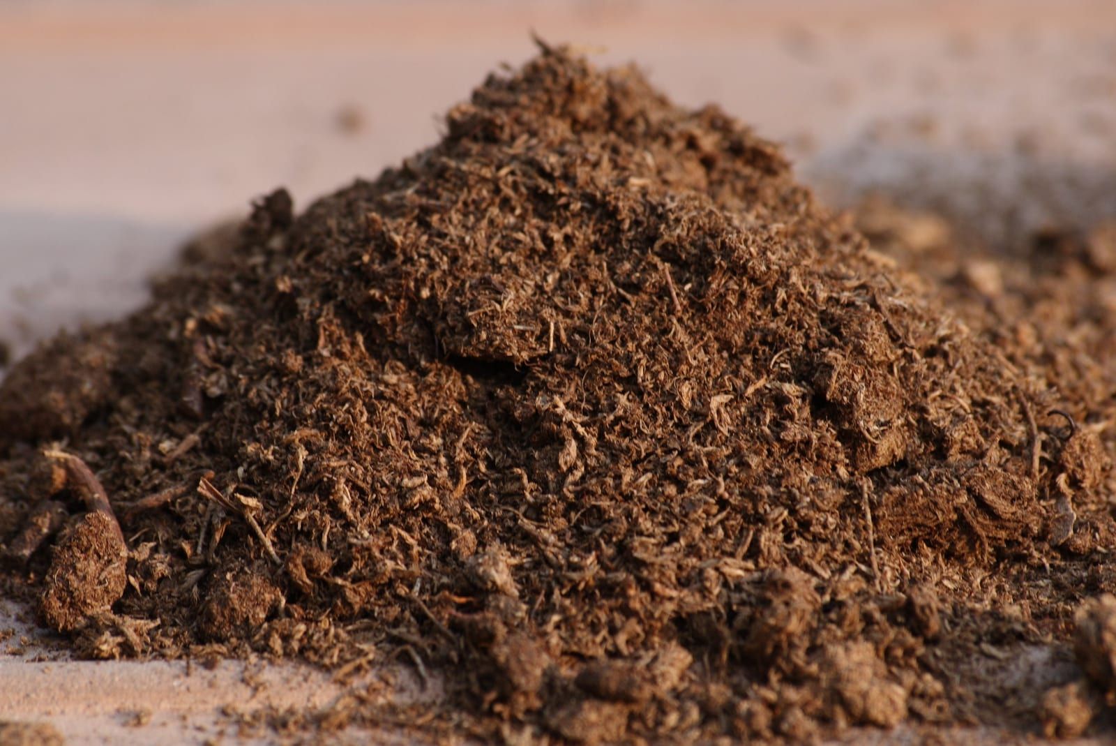 A loose pile of dark brown, fibrous sphagnum peat moss.