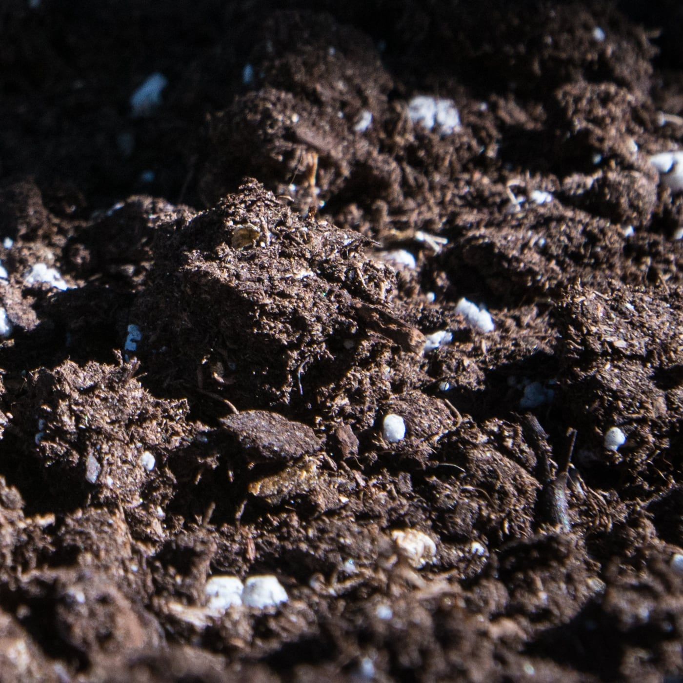 Close view of dark brown, fibrous potting material with scattered white perlite grains, lit from the side.