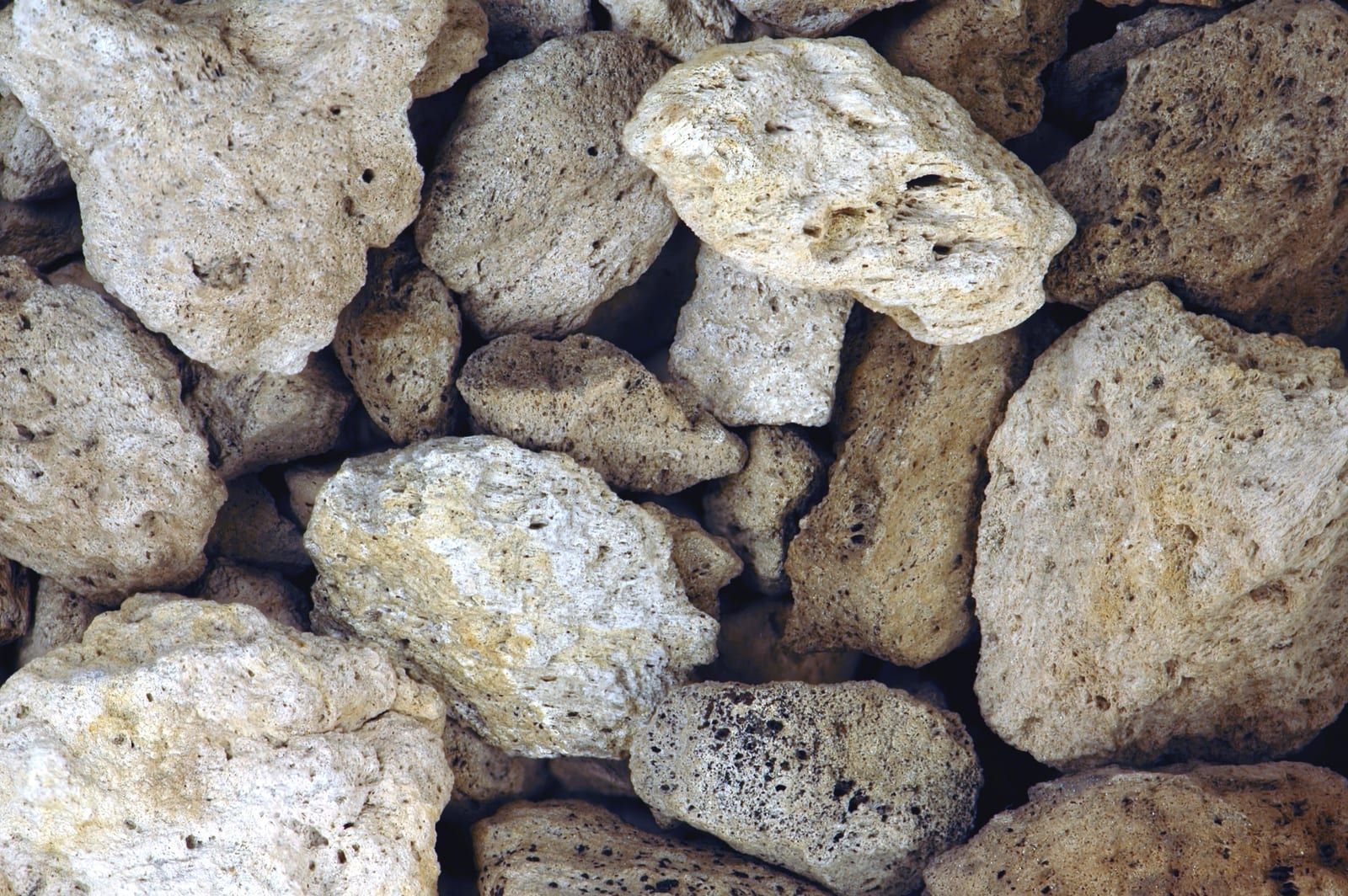 Pale, porous pumice pieces with small holes across their surfaces, filling the frame.